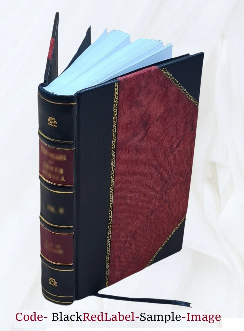 [Leather 1900 Walker, 1830-1900. Leon Reverend D.D. George Bound]