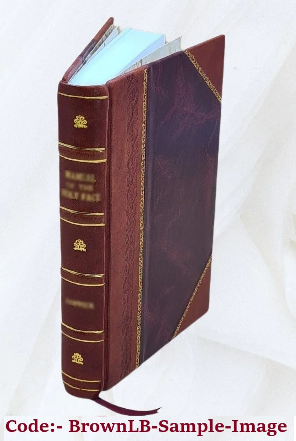 vier [Leather Vorträge Goethe, Bound] Humboldt, Darwin, Haeckel; 1904