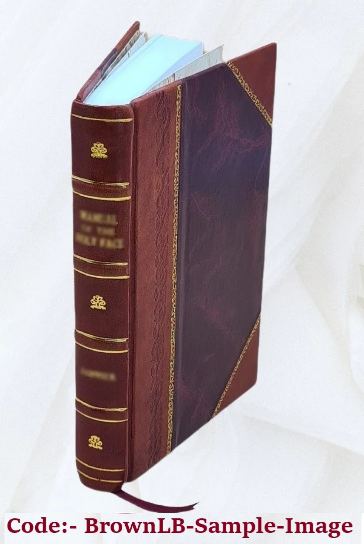vier [Leather Vorträge Goethe, Bound] Humboldt, Darwin, Haeckel; 1904